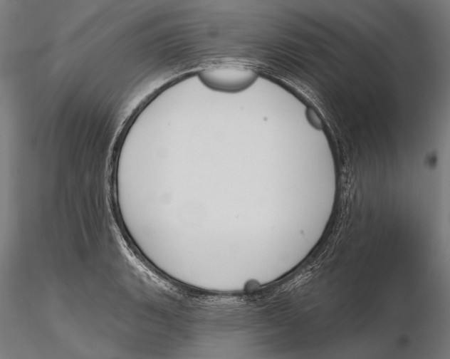 X0000115491135200912041010