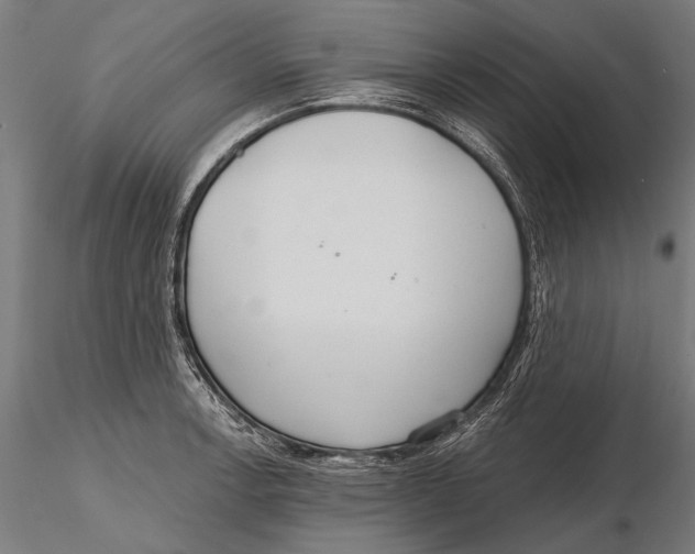 X0000115491138200912041010