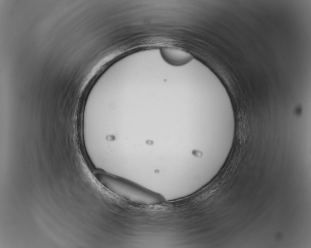 X0000115491139200912041010