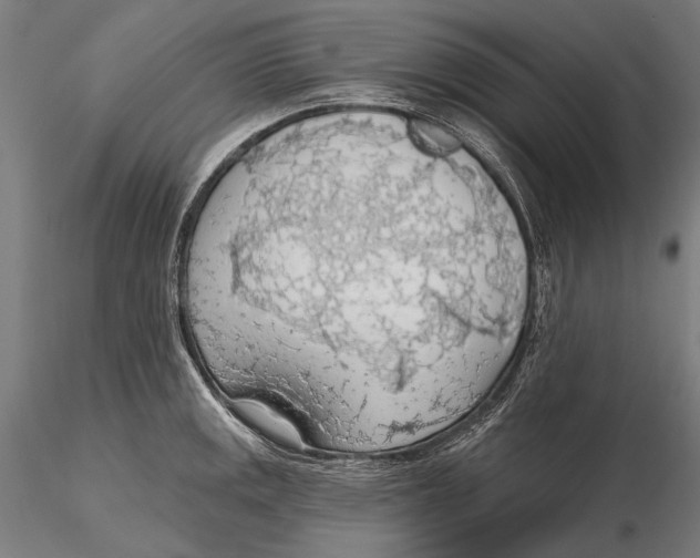 X0000115491141200912041010