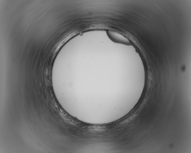 X0000115491145200912041010