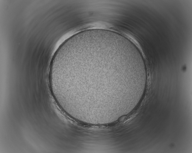 X0000115491146200912041010