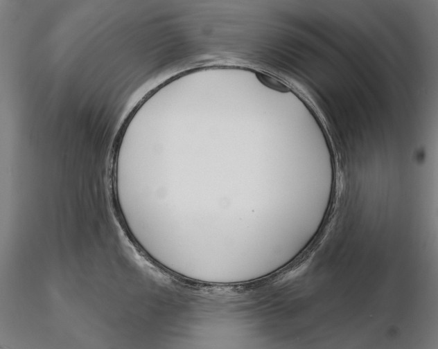 X0000115491149200912041010