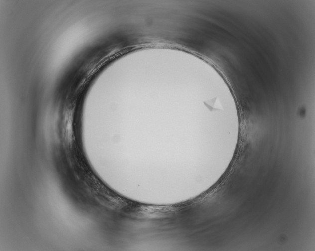 X0000115491150200912041010