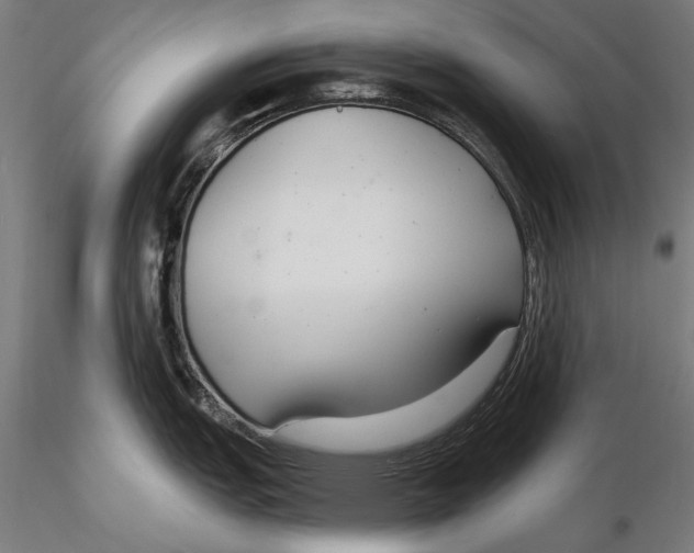 X0000115491151200912041010