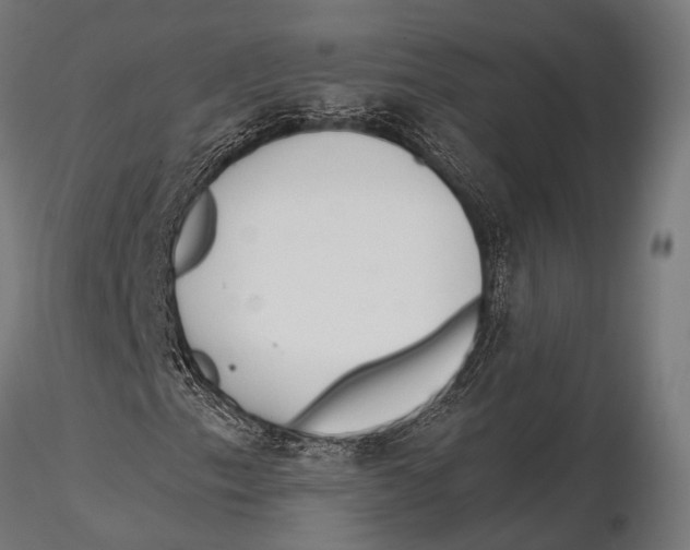 X0000115491153200912041009