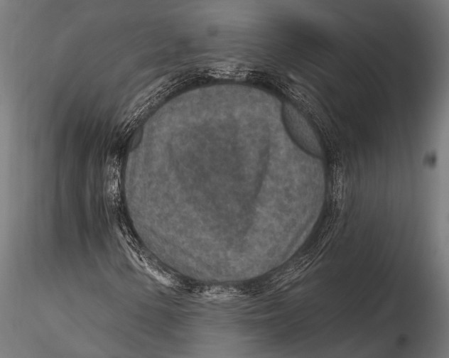 X0000115491154200912041009