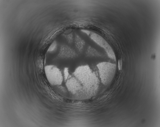 X0000115491155200912041009