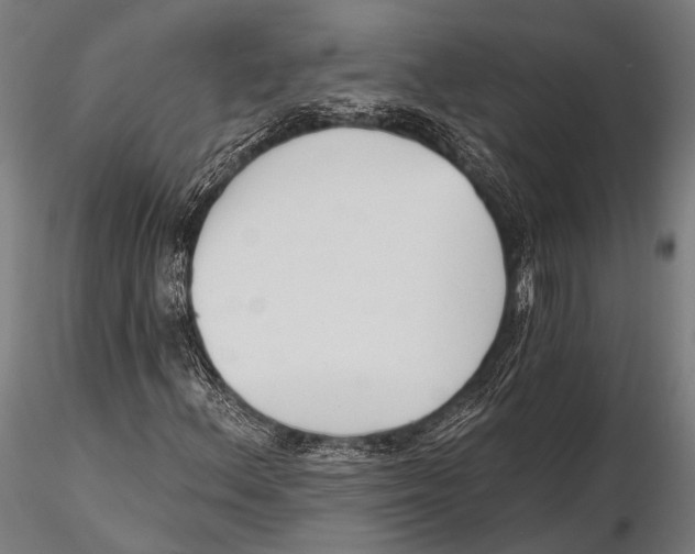 X0000115491156200912041009