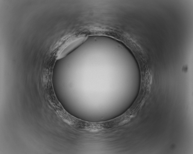 X0000115491157200912041009