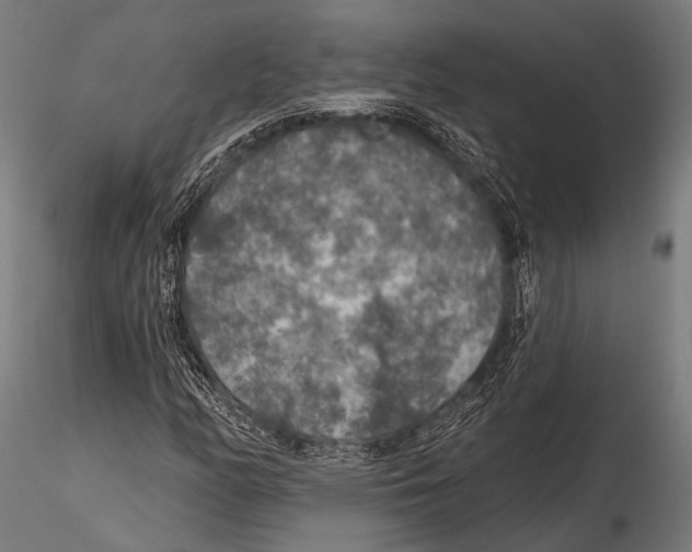 X0000115491158200912041009