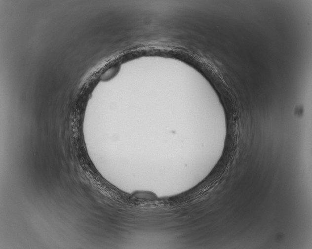 X0000115491159200912041009