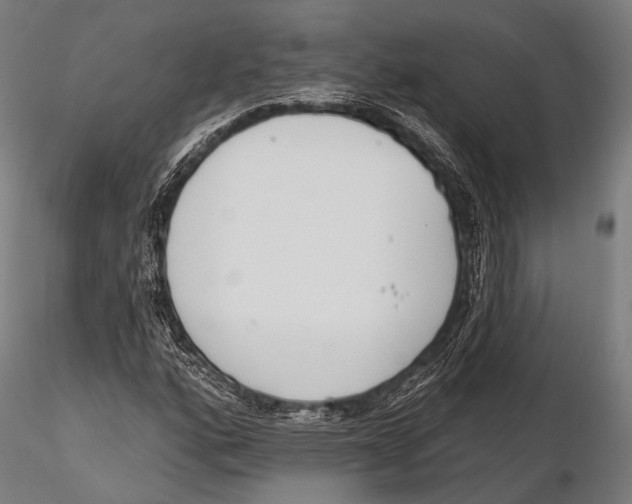 X0000115491160200912041009