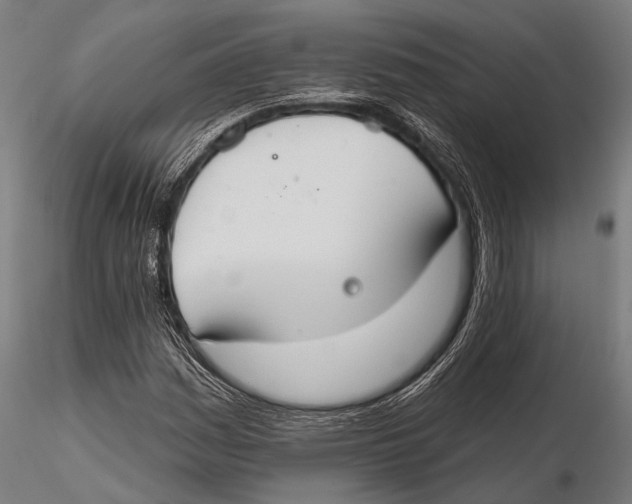 X0000115491161200912041009