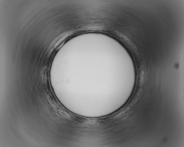 X0000115491162200912041009