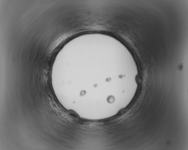 X0000115491163200912041009