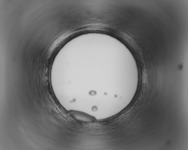 X0000115491164200912041009