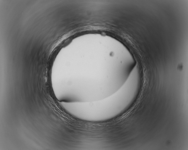 X0000115491165200912041009