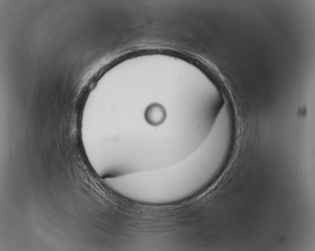 X0000115491167200912041009