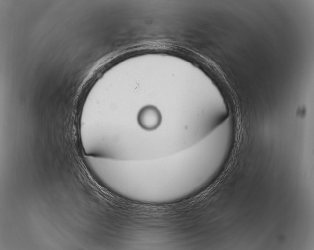 X0000115491168200912041009