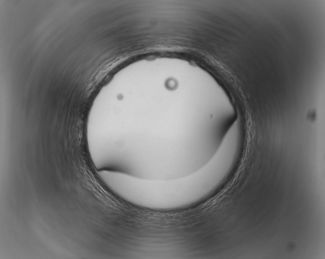 X0000115491169200912041009