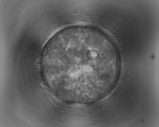 X0000115491170200912041009