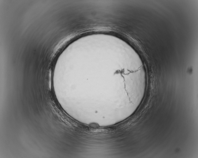 X0000115491171200912041009