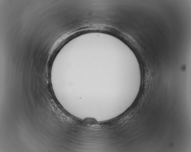 X0000115491172200912041009