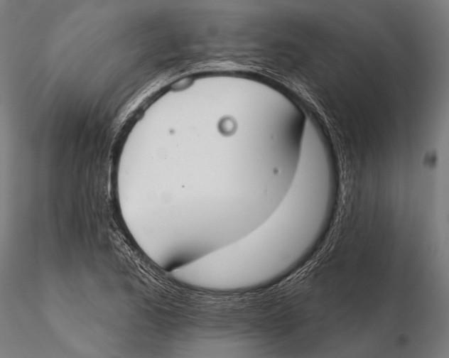 X0000115491173200912041009