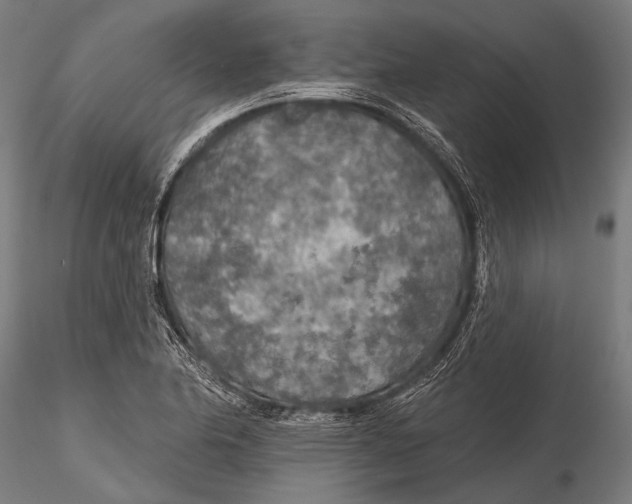X0000115491174200912041009