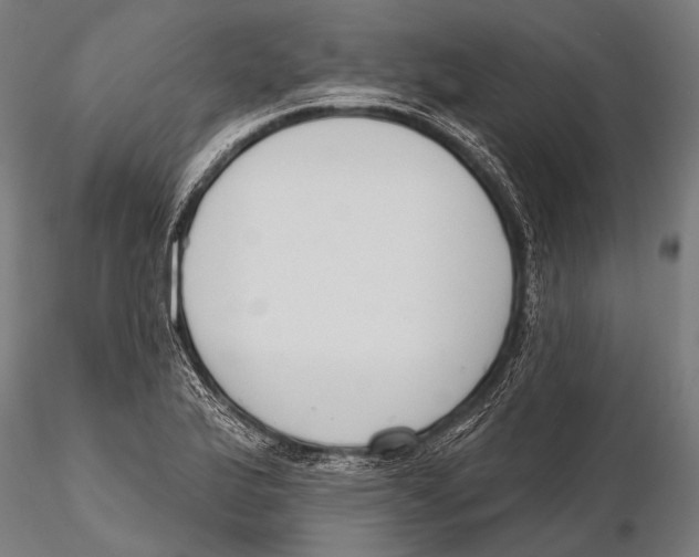 X0000115491175200912041009