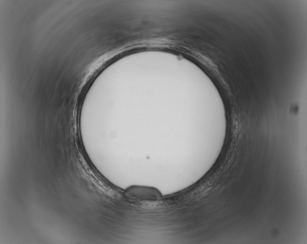 X0000115491176200912041009