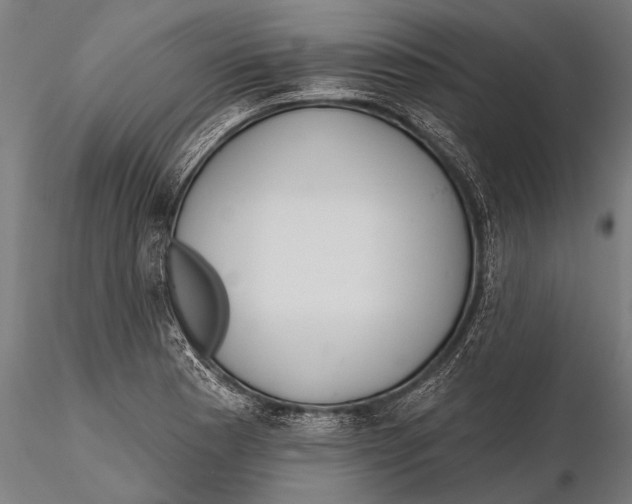 X0000115491177200912041009