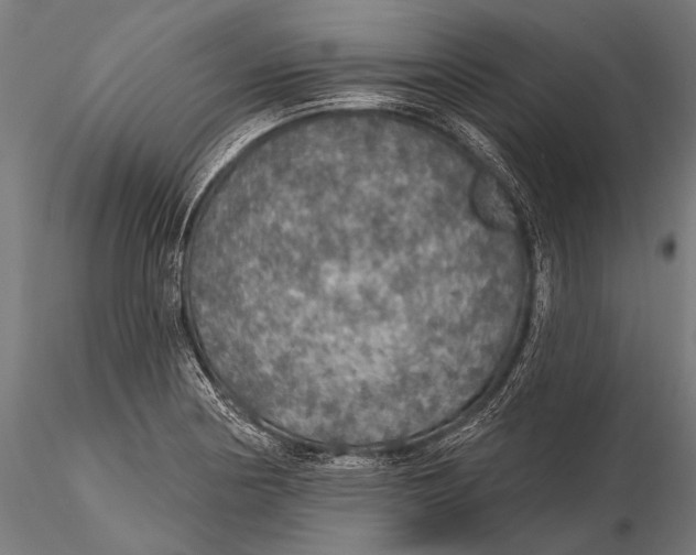 X0000115491178200912041009