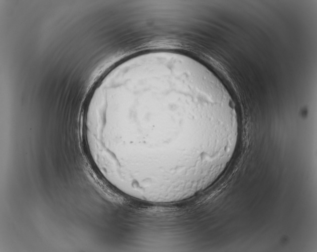 X0000115491179200912041009