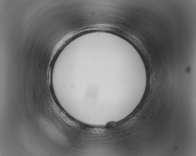 X0000115491180200912041009