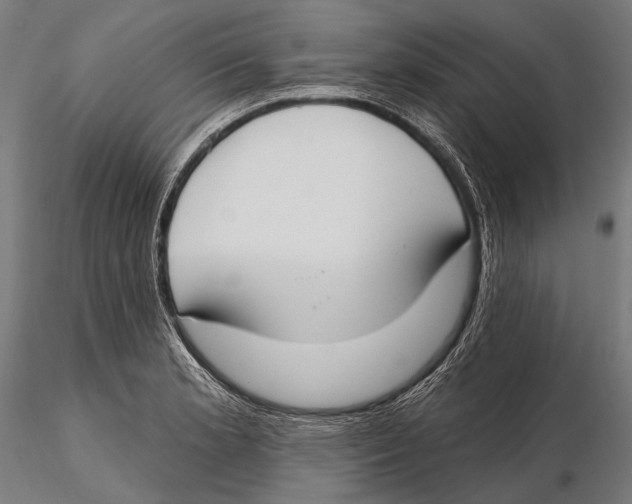 X0000115491181200912041009