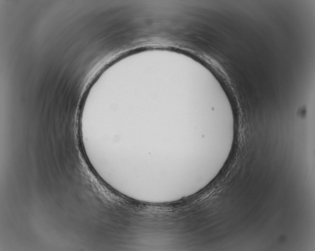 X0000115491183200912041009