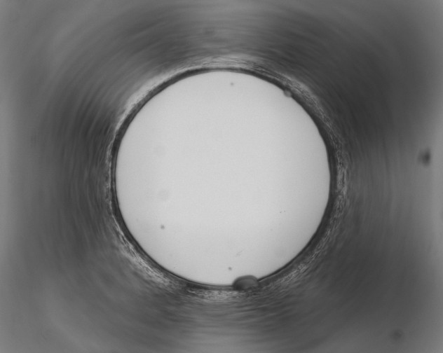 X0000115491184200912041009