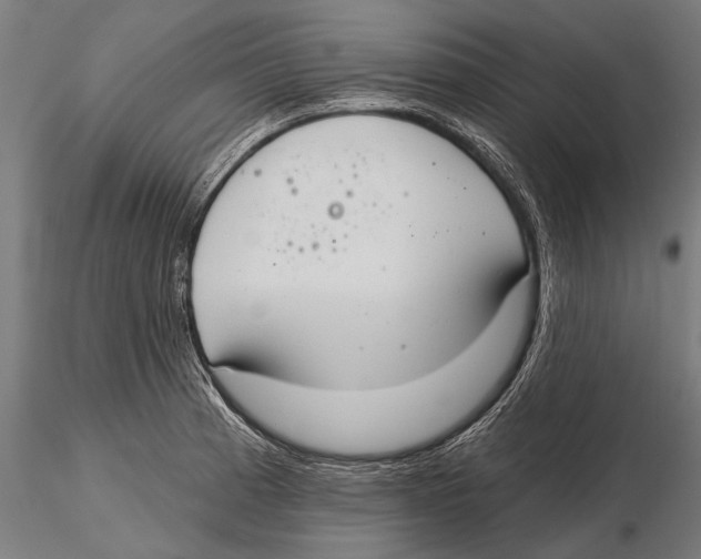 X0000115491185200912041009