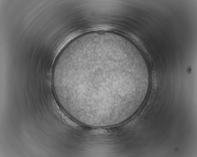 X0000115491186200912041009
