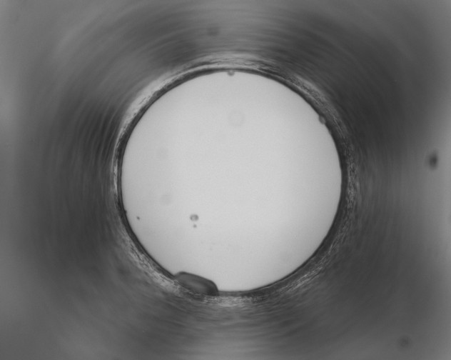 X0000115491188200912041009