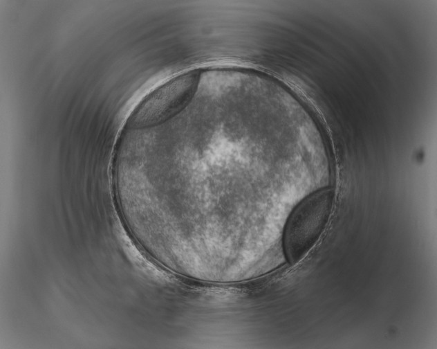 X0000115491189200912041009