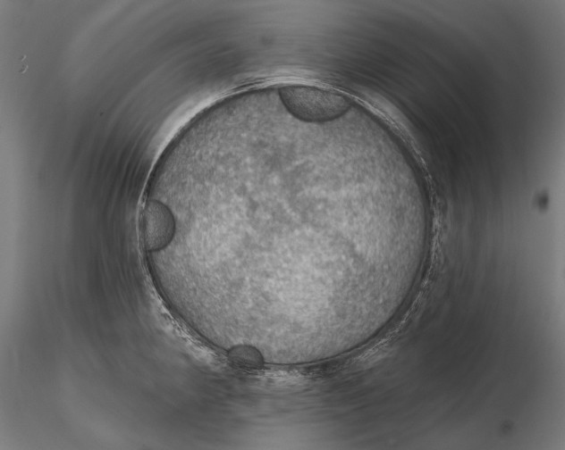 X0000115491190200912041009
