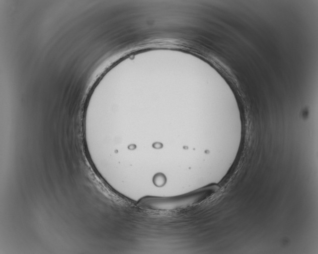 X0000115491192200912041009