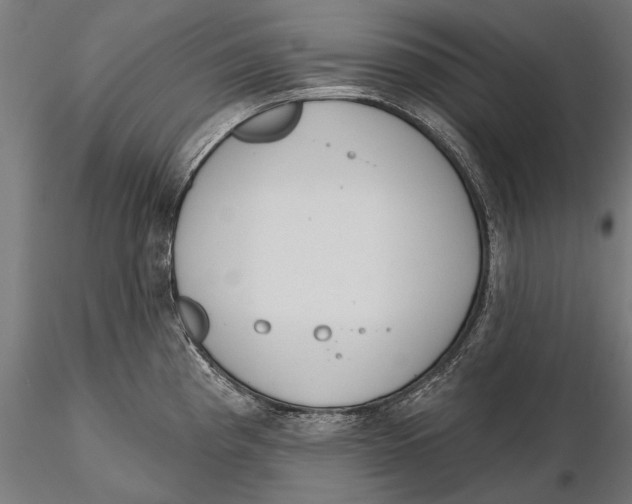 X0000115491193200912041009