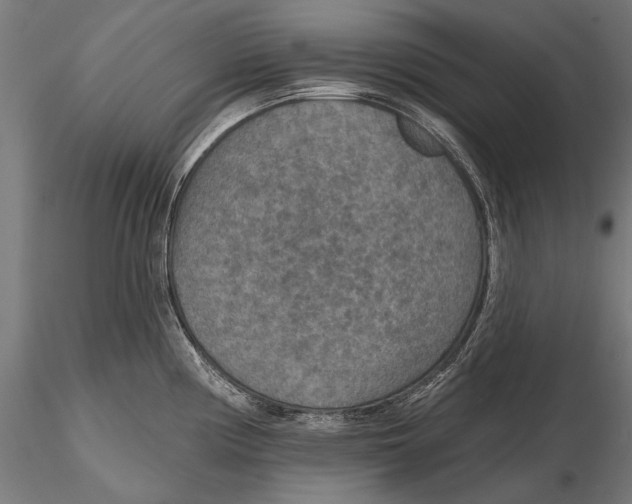 X0000115491194200912041009