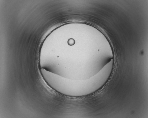 X0000115491195200912041009