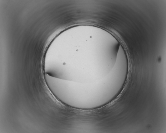 X0000115491196200912041009