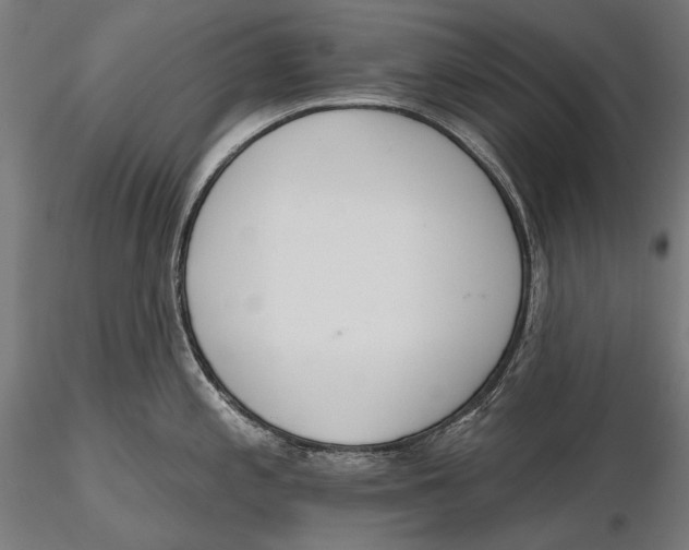 X0000115491197200912041009